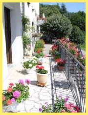 Alle de Fleurs le long de l'hotel