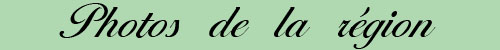 Titre de la page